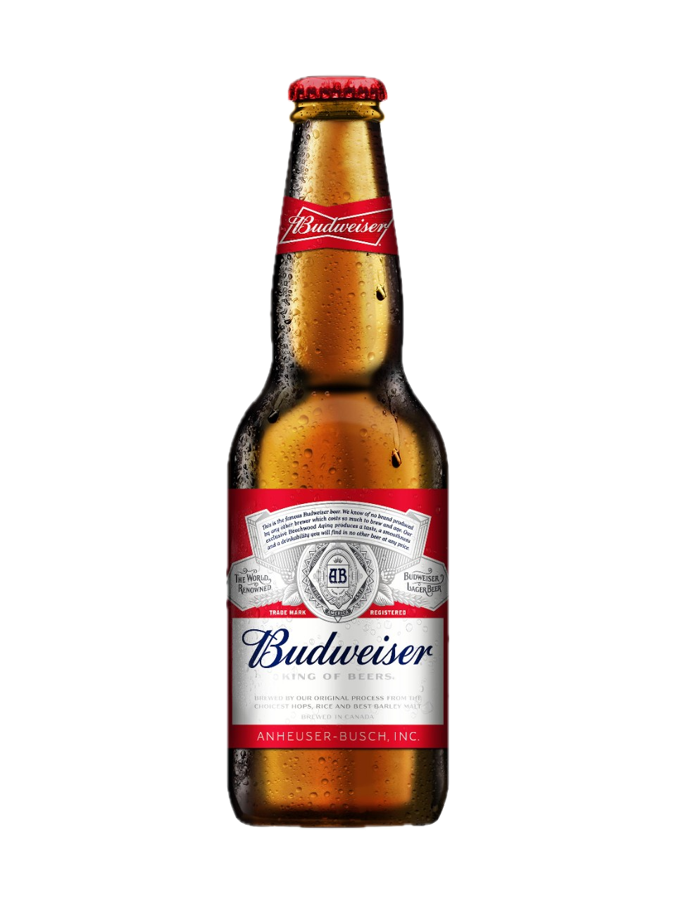 Budweiser beer bottle served at Lavigne Tavern.